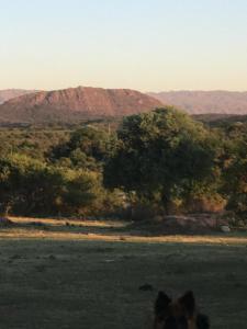 Panaholma resort Cabañas de montaña