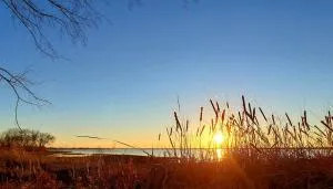 Lovely Lakeside Living - Wylie