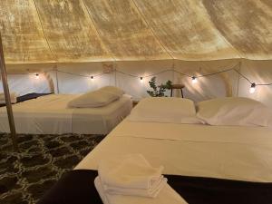 Cozumel Glamping