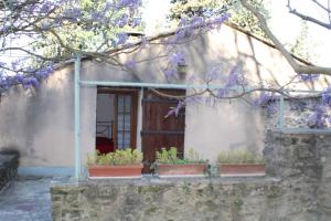 Maisons de vacances Mas provencal traditionnel : photos des chambres