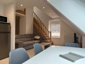 Appartement T3 Duplex centre ville - 当皮耶尔雷布瓦