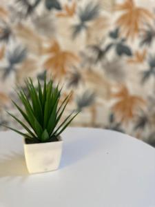 Coqueto estudio junto al mar-Apartamentos Don Diego en la Carihuela