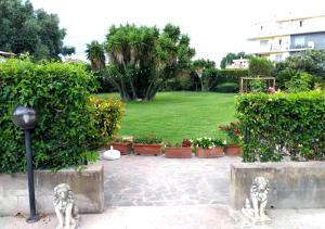 Oasi nel Verde - Fiumicino Airport - Self Check-In