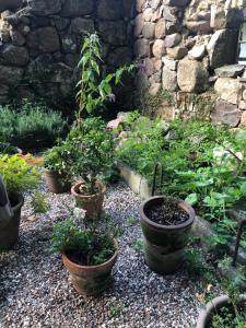 Idyllisk bolig i skoven