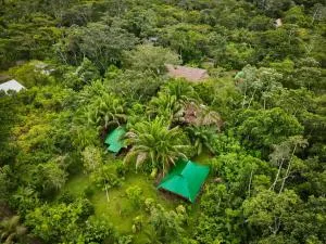 Tronco Tambopata Adventure - El Morro