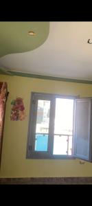 ميامي الاسكندريه