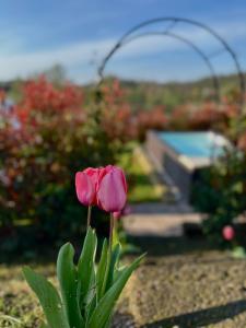Holiday Home Sovenigo