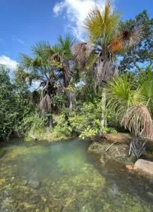 Finca La MARSELLA - Fuente de Oro