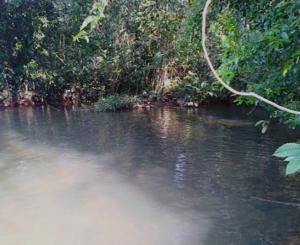 Finca La MARSELLA