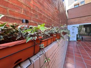 Ope Suites calle 100