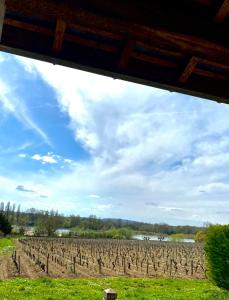 Appartements L-Esperance vue sur la Loire et la vigne 2 : photos des chambres