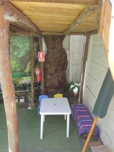 La casa del arbol