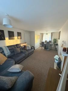 Modern and Cozy 1 bedroom apartment