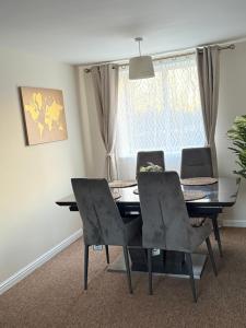 Modern and Cozy 1 bedroom apartment