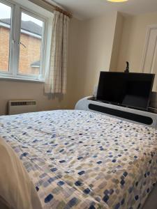 Modern and Cozy 1 bedroom apartment