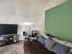 Glamping domo Geodesico cabaña moderna