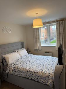 Modern and Cozy 1 bedroom apartment