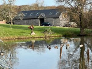 Meadow View Barn - Ryde