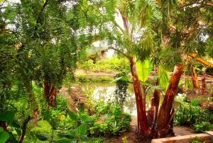 Rural retreat pool, 6ppl - 5min beach - SuperHost