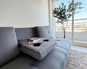 Cómodo, especial y único departamento en Santiago