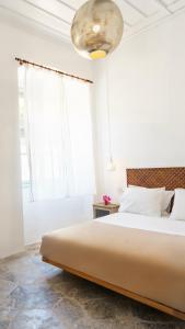 LIVIN Hydra Garden Suite