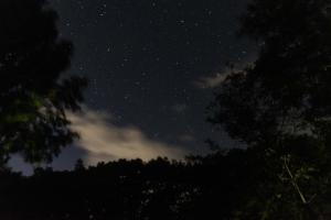 Glamping Resort Venus