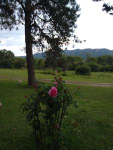 Ntra Sra de los Angeles