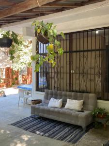 Maracuya Suites Zipolite