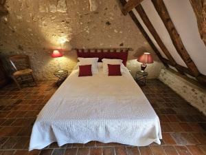 Maisons de vacances Evasion paisible en Touraine, gite authentique avec jardin clos, proche foret, ideal famille et amis - FR-1-381-321 : photos des chambres