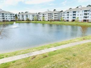 Calming & Relaxing condo in the center of MB