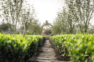 Tiến Yên Farmstay