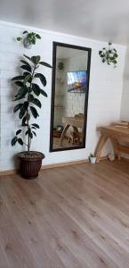 Mexico City apartment Downtown and comfortable