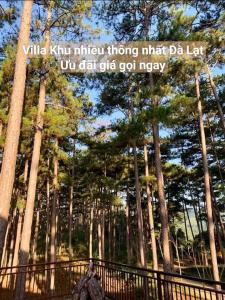 Chillin Villa - Biệt Thự Đà Lạt Khu Nhiều Thông Gần Hồ Tuyền Lâm
