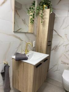 benbmeestervankampen