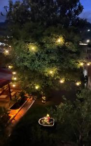 Magic Jardín Hostel - Patio, Balcony & Rooftop