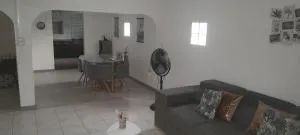 Paille en queue des z iles - Bois dʼOlive