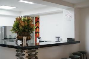 Recovery house by Zenya Host