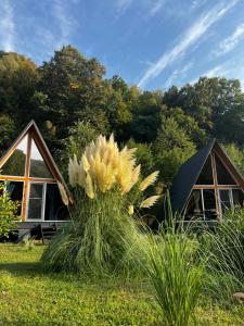 Cabane A-Frame Svinița