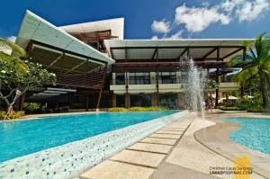 Pico de loro Carola B - Ternate