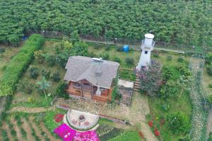 kamely hill bảo lộc