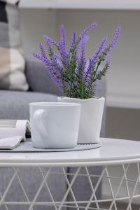 Modern Apartment with Air Conditioning and Parking in Cracow by Noclegi Renters