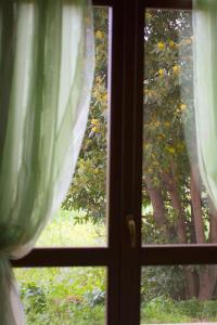 King Room with Garden View