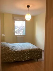 Appartements Roanne 3 chambres, 3 lits doubles : photos des chambres