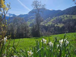 Chalets Le Mazot du Genevrier - Au coeur des Aravis : photos des chambres