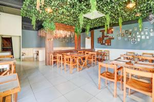 Super Collection O Golapar Haldwani