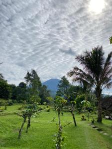 Dasa Vayu Retreat and Cottage