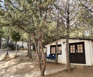 Alua Centro de Ocio - Camping Valdearenas