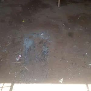 Paz t trannkilidad - Tuxpan