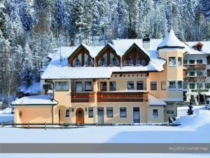Apartment at the Achensee with terrace
