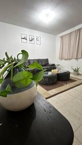 Casa Curicó Viñedos